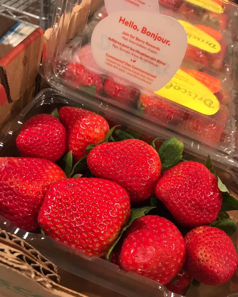 Chocolate Covered Strawberries, 12pc (LOCAL PICKUP ON 2/14 ONLY)